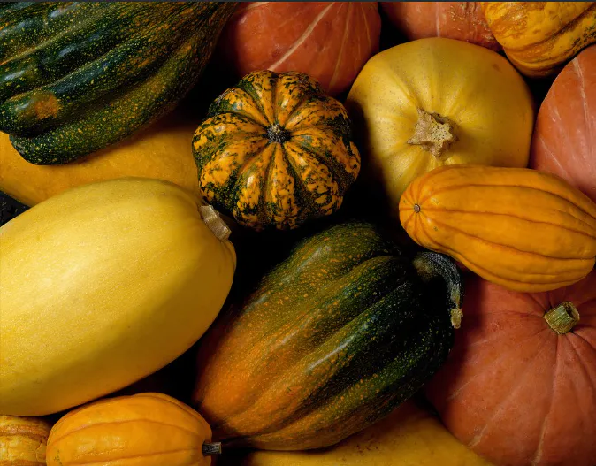 Courge Nature
