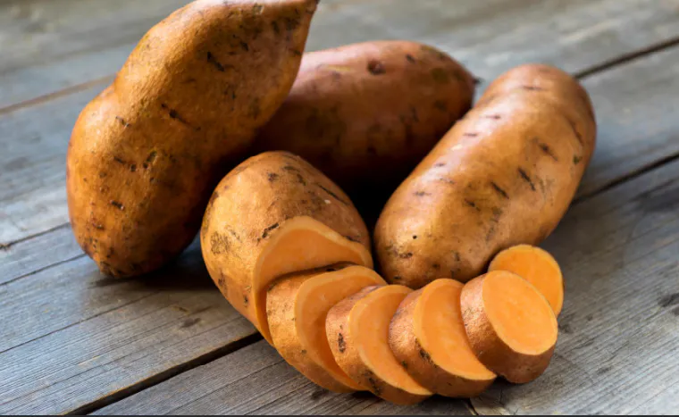 Courge Patate douce