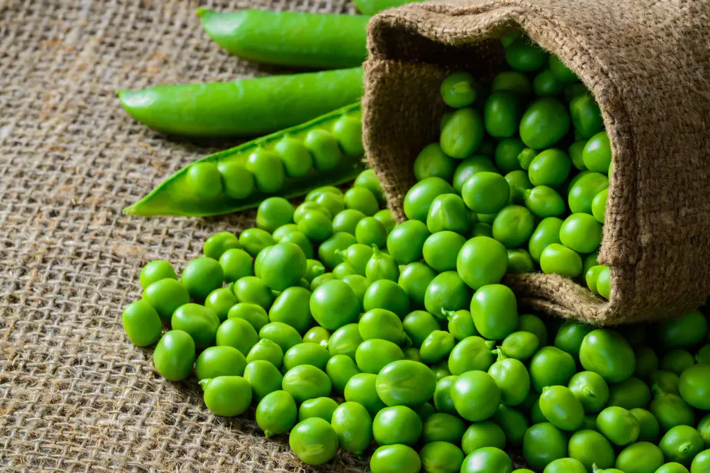 Courge Petits Pois