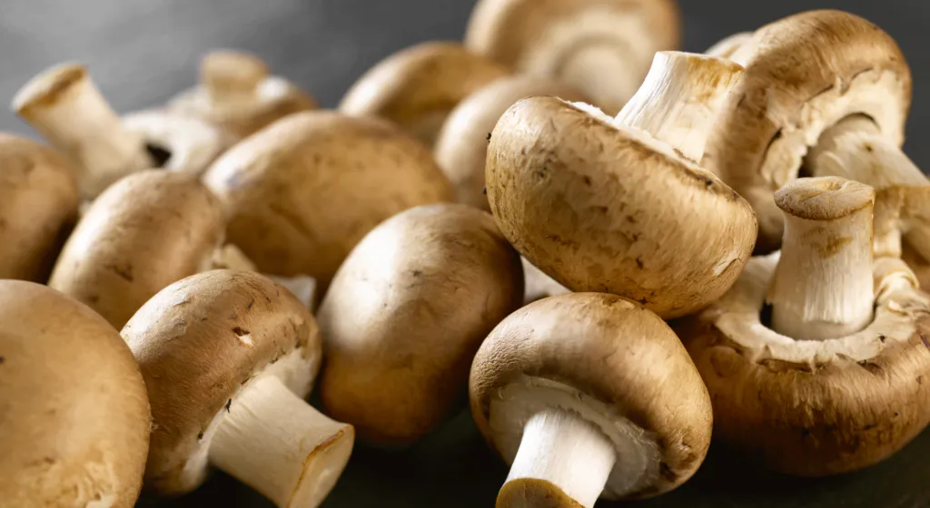 Soupe aux champignons